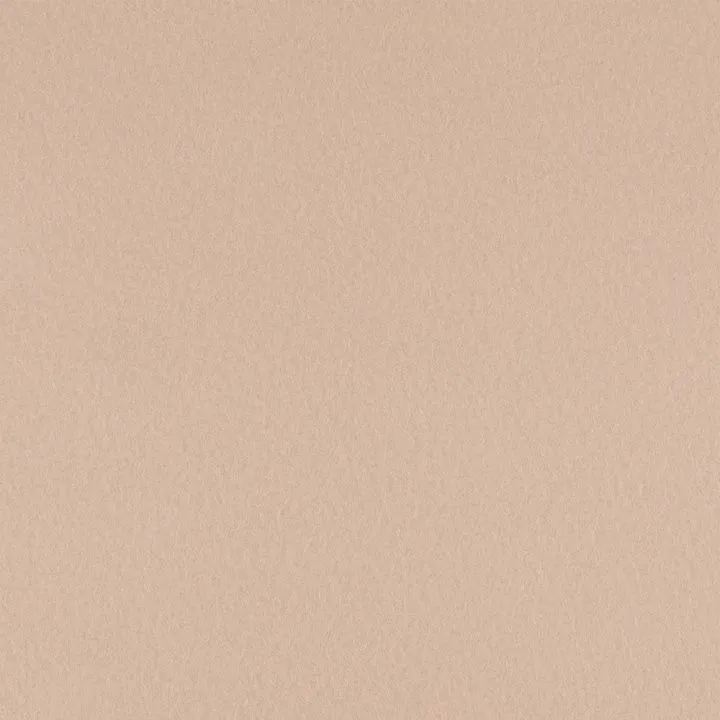Фетр GAMMA PREMIUM 1мм цв.RN22 св.бежевый 33*53см FKR10-33/53 для кукол