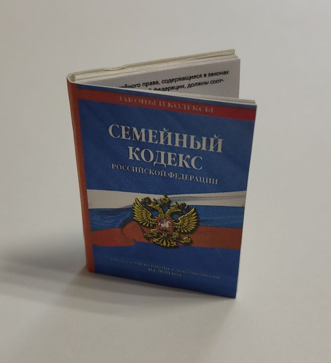 Книга Семейный кодекс 3,5*5см для кукол